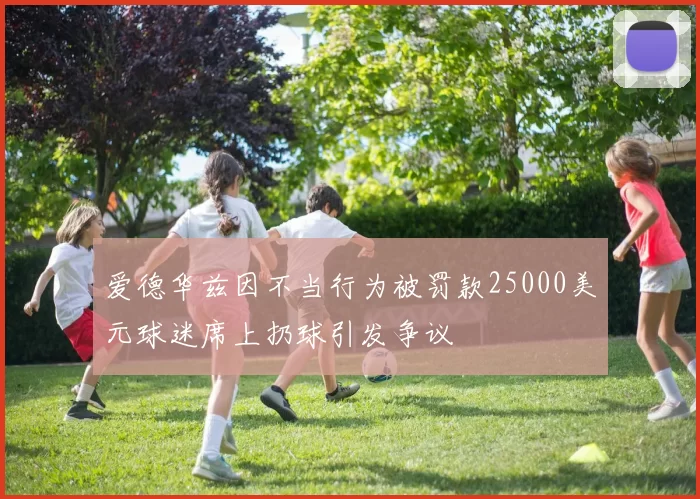 爱德华兹因不当行为被罚款25000美元球迷席上扔球引发争议